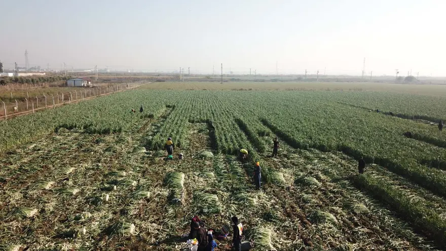 "ÜRETİCİLER ALTINDAN KALKAMIYOR" 3