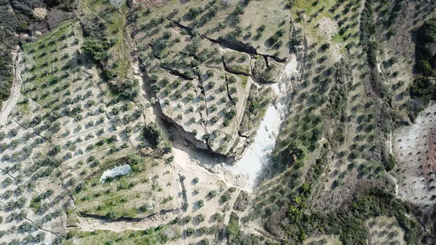 Depremin ardından Hatay'daki zeytinliklerde dev yarıklar 13
