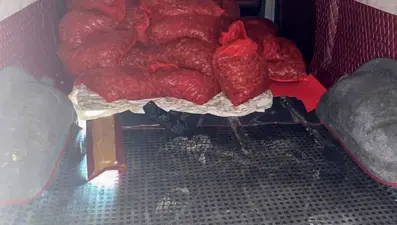 500 kilo kaçak midyeye 100 bin lira ceza