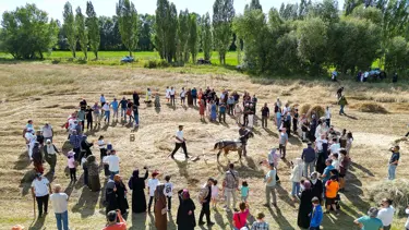 Bayburt'taki "Harman Festivali"nde eski tarım aletleriyle hasat yapıldı