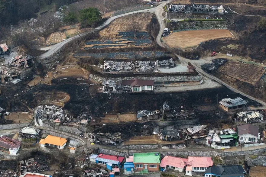 Güney Kore'de orman yangınları: Hasar tahmin edilenin iki katı 2