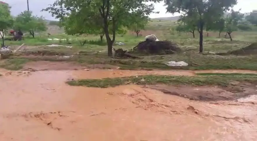 Elazığ'ı sağanak ve dolu vurdu: 200 küçükbaş hayvan telef oldu 4