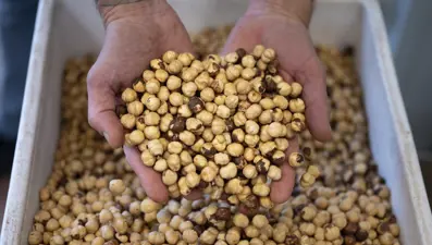 Sos, domuz eti, lazanya, fındık... İngiltere'de hepsi için toplatma kararı çıktı