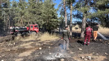 Sarıkamış'ta çıkan orman yangınında yaklaşık 1 hektar alan zarar gördü