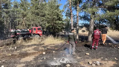 Sarıkamış'ta çıkan orman yangınında yaklaşık 1 hektar alan zarar gördü