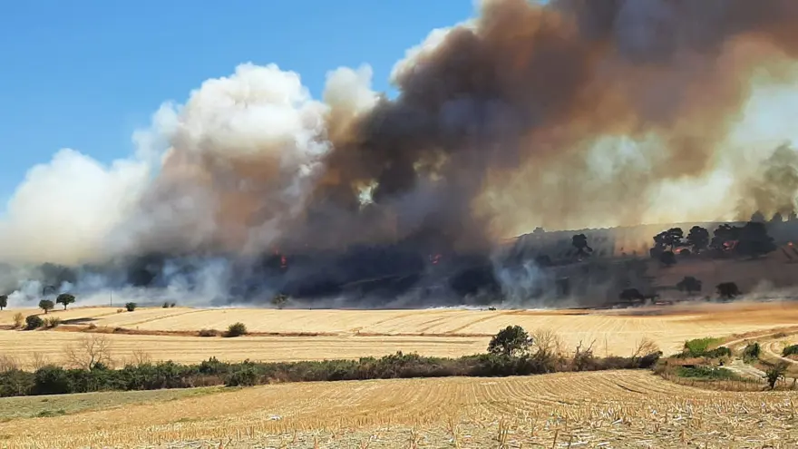 ÇANAKKALE EZİNE 1 ÇANAKKALE EZİNE 1