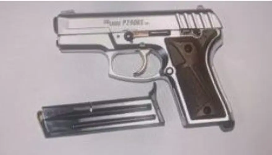 UZUN NAMLULU SİLAH, TABANCA VE FİŞEK ELE GEÇİRİLDİ 3