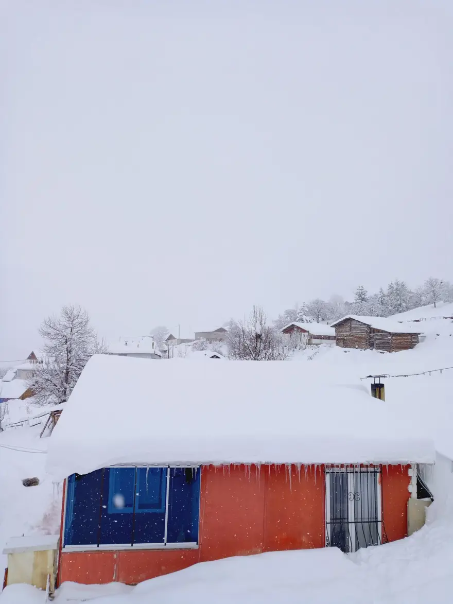 Artvin'de kar kalınlığının 1 metreyi bulduğu köyde gece gündüz çatı temizleniyor 