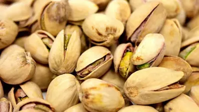 Antep fıstığı fiyatlarına rekor