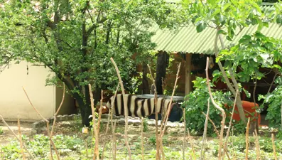 Tokat’taki patlamanın ardında ne var? 2 şüpheli sorguya alındı, husumet iddiası ön planaçıkıyor