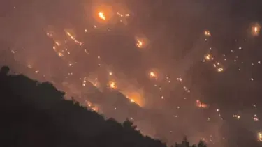 Denizli'de orman yangını