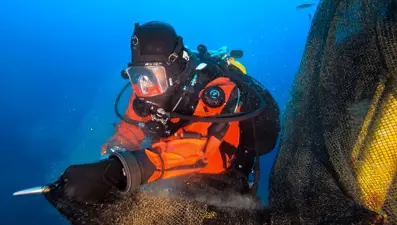 'Hayalet ağ' dalış turizmi için batırılan vapuru kapladı