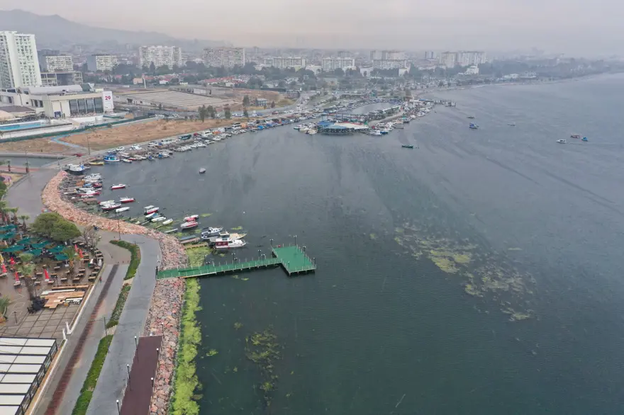 Balık ölümlerinden sonra şimdi de yosun kirliliği 7 Balık ölümlerinden sonra şimdi de yosun kirliliği 7