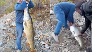 Amatör balıkçının heyecan dolu anları: Tam 32 kilo...