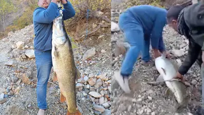 Amatör balıkçının heyecan dolu anları: Tam 32 kilo...