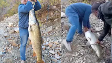 Amatör balıkçının heyecan dolu anları: Tam 32 kilo...
