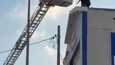 Hatay'da korku dolu anlar: Elinde bıçakla çatıya çıktı