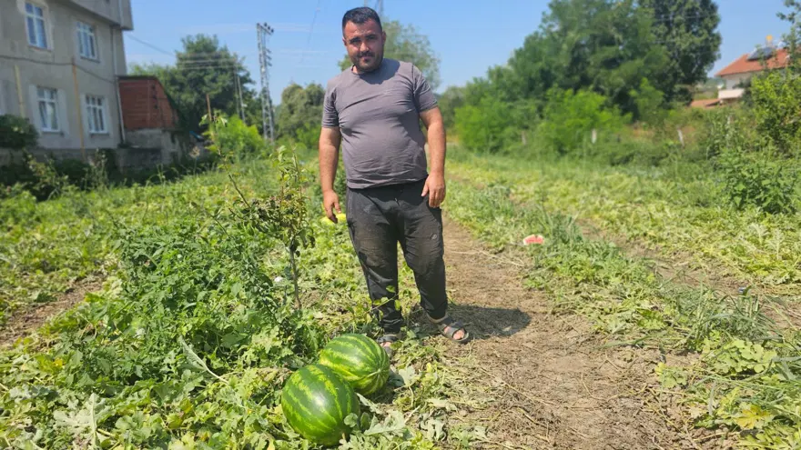 Baba mesleğini bıraktı: 25 yıldır toprağa emek veriyor 2