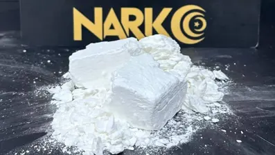 Bodrum'da uyuşturucu operasyonu: 1 şüpheli tutuklandı