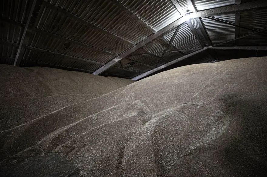 Tahıl gemilerinin limanlardan çıkışını bekleyen Ukraynalı çiftçilerden Türkiye'ye teşekkür 15