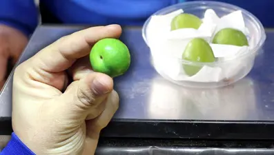 Kilosu 3 bin tanesi 53 lira | Yaz meyvesi kışın el yakıyor