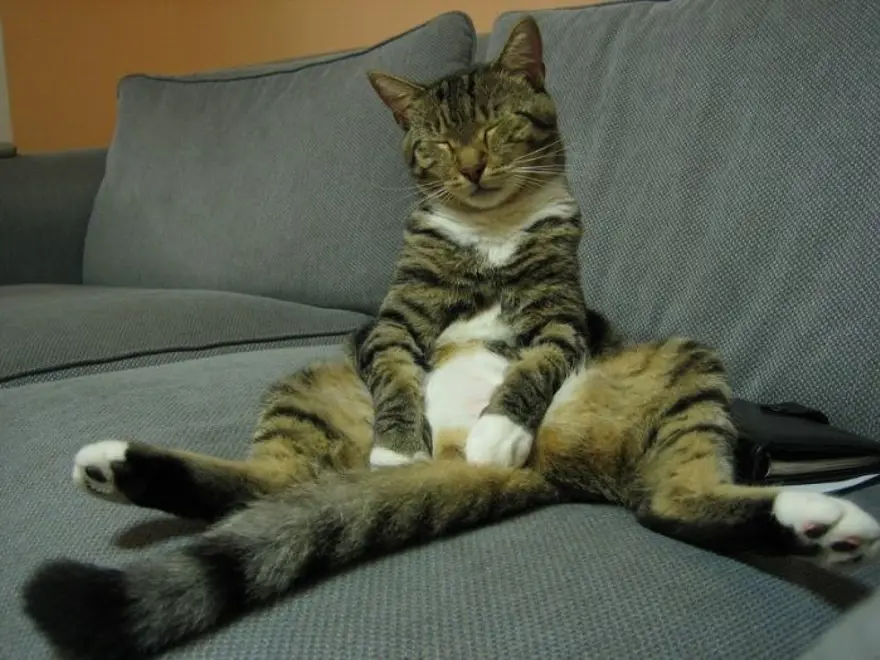 İnternetin yeni fenomenleri 129