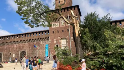 İtalya'da sıra dışı keşif: Da Vinci’nin çizimlerine benzeyen gizemli tüneller