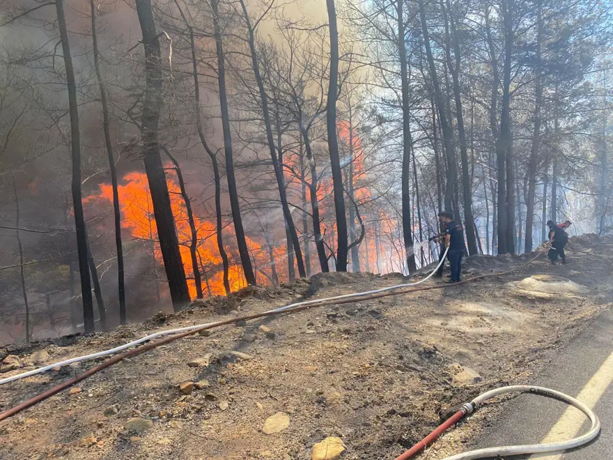 Marmaris'te orman yangını 17