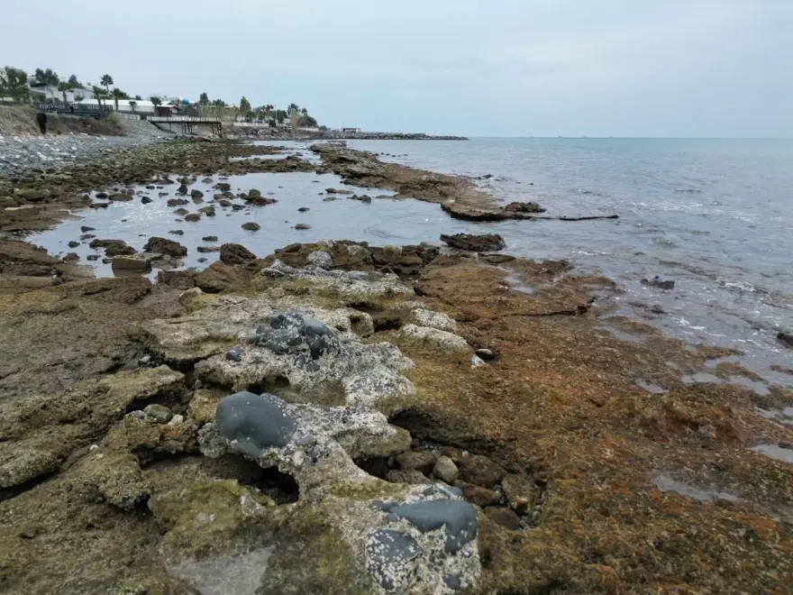 Marmara, Ege ve şimdi de Akdeniz: Deniz 20 metre çekildi 1