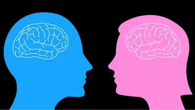 Erkek ve kadın beyni birbirinden farklı mı çalışıyor? Yaygın inanış çürütüldü