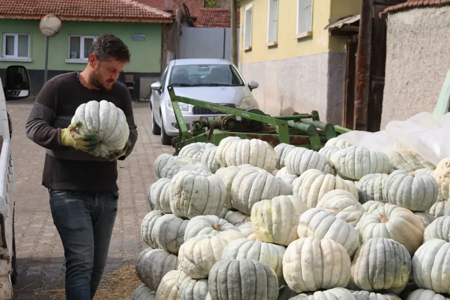 Psikolojiye iyi geldiği söyleniyor: Tarla fiyatı 20 lira 2