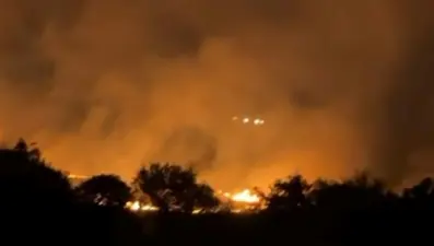 İzmir Seferihisar'da orman yangını