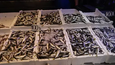 Yasak bitti, sezon açıldı... Tezgahlar istavritle doldu "Bu sene bolluk var"