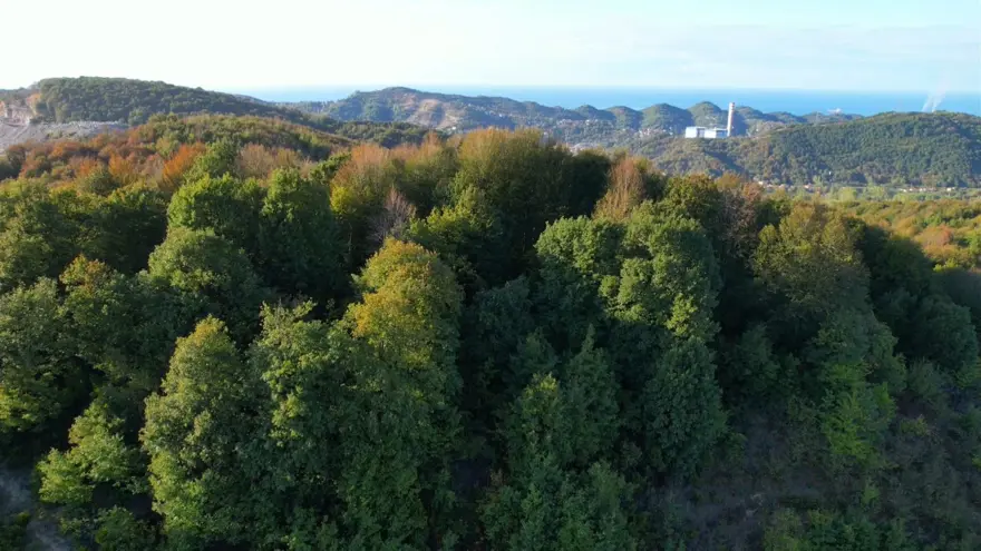 Zonguldak ormanlarında sonbahar renkleri havadan görüntülendi 1