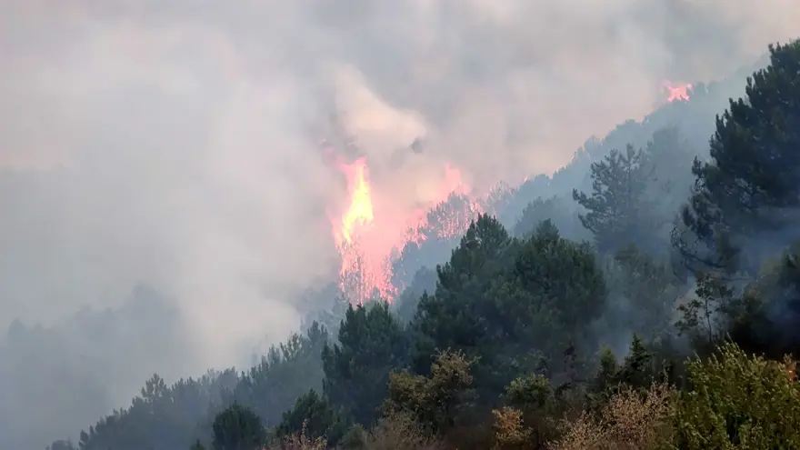 Afyonkarahisar’da orman yangını: Alevlerrüzgarın etkisiyle yayıldı 1