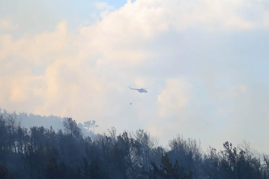 Çanakkale, Uşak, Antalya ve İzmir'de  orman yangını 7