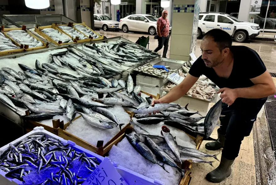 Tezgahlarda bolluk yaşanıyor! Kilosu 100 liradan başlıyor 2