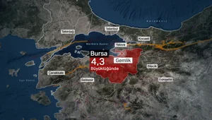 Son Dakika: İstanbul'da deprem mi oldu? AFAD açıkladı Son Dakika: İstanbul'da deprem mi oldu? AFAD açıkladı