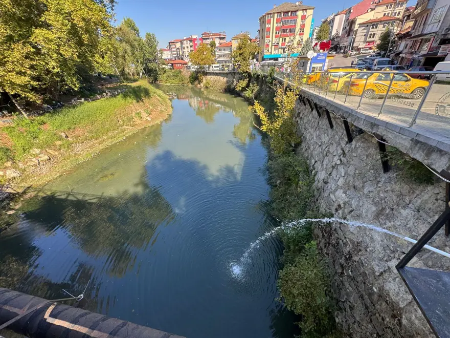 Bartın Irmağı'nda balık ölümleri 2