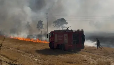 Kırklareli'nde korkutan anız yangını