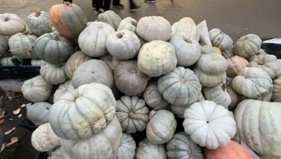 Kışın vazgeçilmezi tezgahta yerini aldı: Kilosu 10 TL'den kapış kapış satılıyor