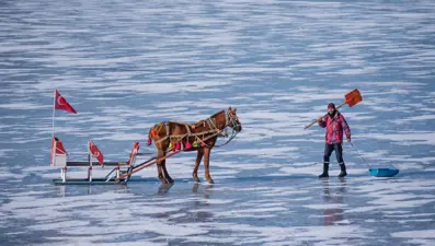 Atlı kızaklar Çıldır Gölü'nün kısmen donan yüzeyine çıkmaya başladı