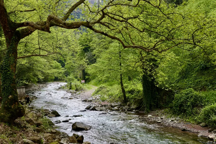 İlkbaharla canlanan Maden Deresi doğaseverleri bekliyor 