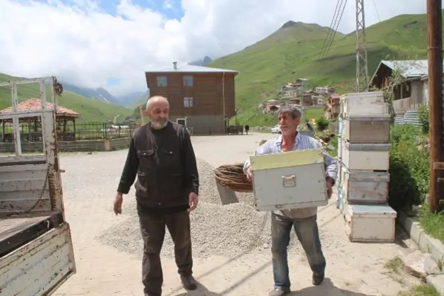 Anzer balında üretim sezonu açıldı 12