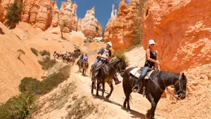 Macera dolu bir yaz isteyenler buraya (Aktivido'nun en iyileri)