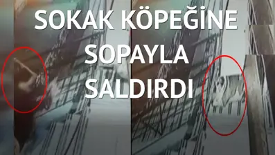 Esnafın beslediği köpeği böyle dövdü