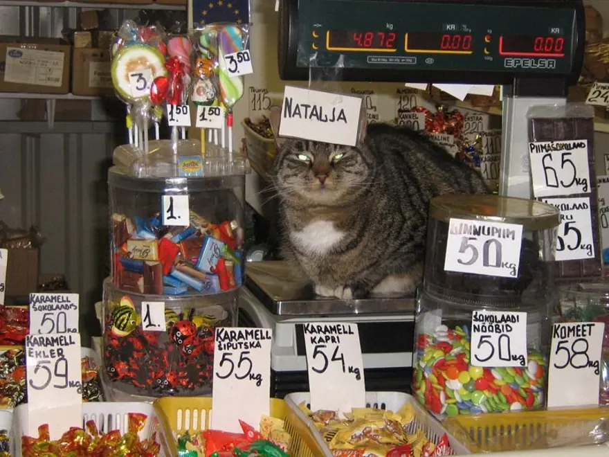 İnternetin yeni fenomenleri 52