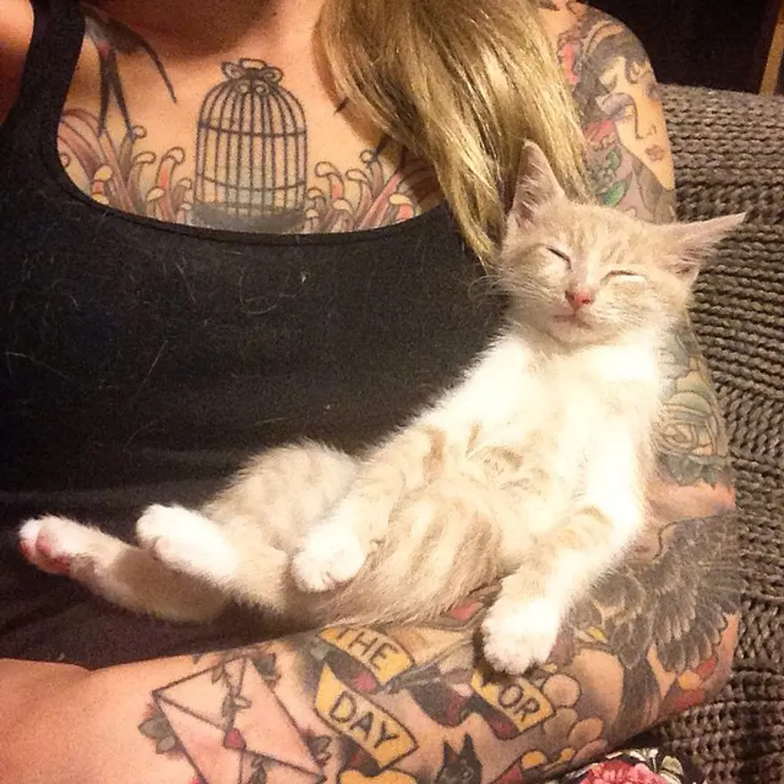 Hayatını kedileri kurtarmaya adadı 50