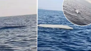 Karadeniz'de yine deniz aracı alarmı: SAS ekipleri tarafından imha edildi