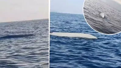 Karadeniz'de yine deniz aracı alarmı: SAS ekipleri tarafından imha edildi